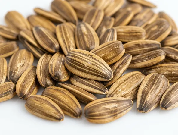 Golden sunflower seeds macro close-up detail, natural lighting, clean white background
